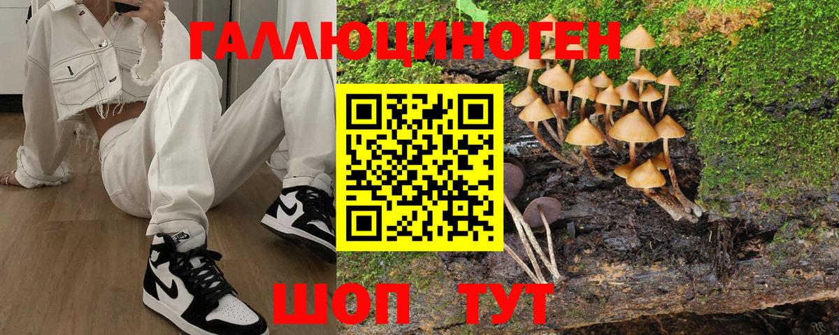 Галлюциногенные грибы ЛСД  Галлюциногенные грибы мухоморы  Волжский  Вход с VPN 